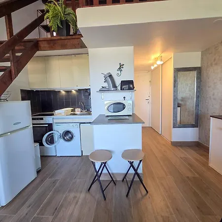 아파트 En Mezzanine, Parking - 4 Pers., Cap D'agde - Fr-1-880-97